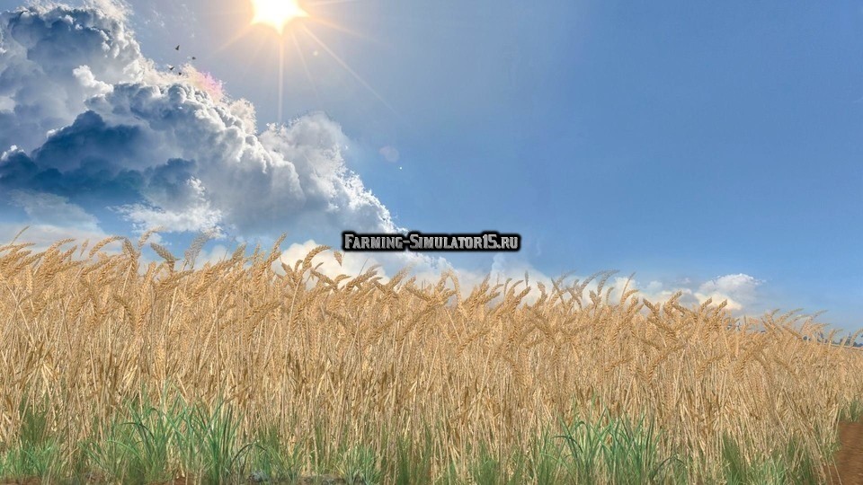 Текстуры New texture edit Coufy Wheat and barley Farming Simulator 2015