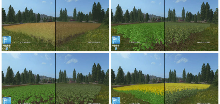 Текстуры Рапса Forgotten Plants – Rape v 1.0 Farming Simulator 17