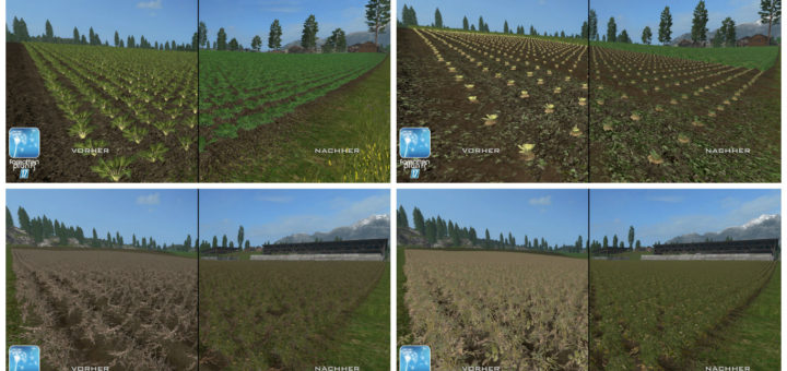 Текстуры Картошки/Свеклы Forgotten Plants Sugerbeet/Potatoes V 1.0 Farming Simulator 2017