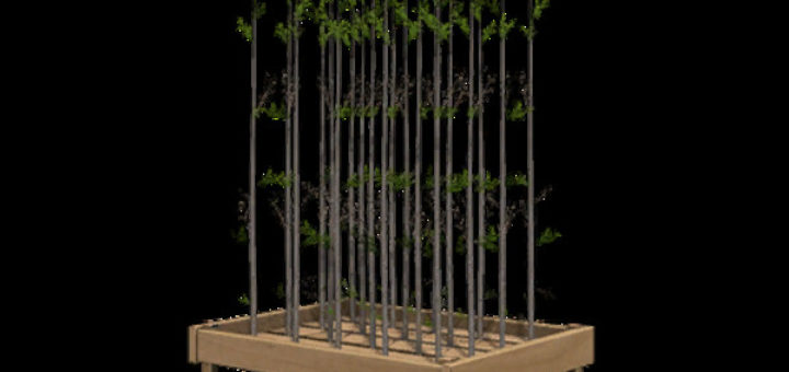 Мод More Saplings v 1.1 Farming Simulator 17