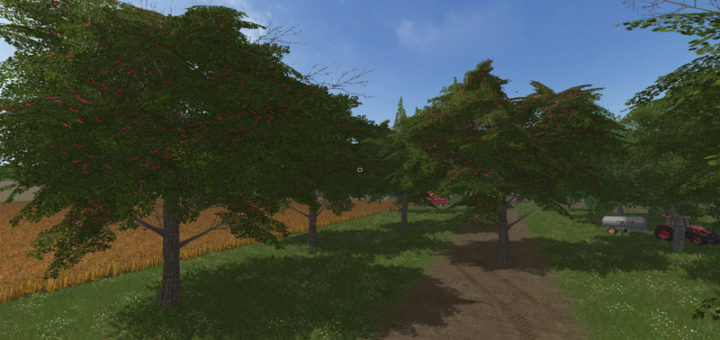 Мод вишневое дерево Cheeries Placeable Tree V1.0 FS17