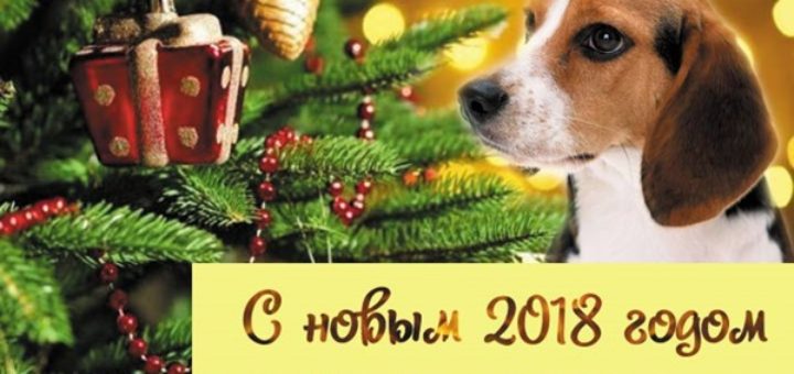 С Новым 2018 Годом