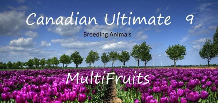 Мод карта CANADIAN ULTIMATE V9.1 Farming Simulator 17
