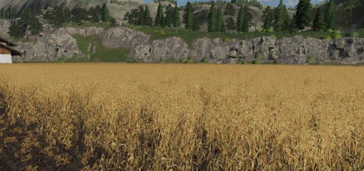 Текстуры Овес Forgotten Plants – Oat v1.0.0 FS19