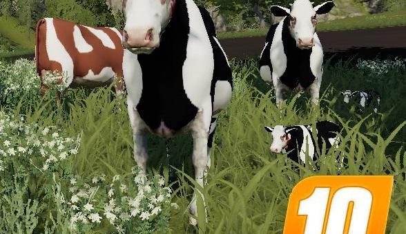Мод Placeable Kuh Familie FS19