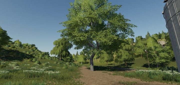 Мод клен Maple placeable V 1.0.0.0 Farming Simualtor 2019