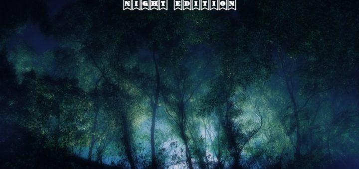 Мод The Sound of the Forest (Night Edition) FS19