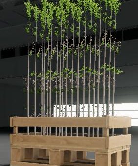 Мод саженцы Tree saplings v1.0.0.0 Farming Simulator 19