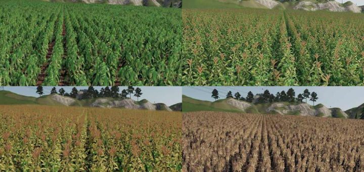 Текстуры Forgotten Plants – Maize v1.0.0 Farming Simulator 19