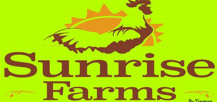 Мод карта Sunrise Farms v1.0.0.2 Farming Simulator 2019