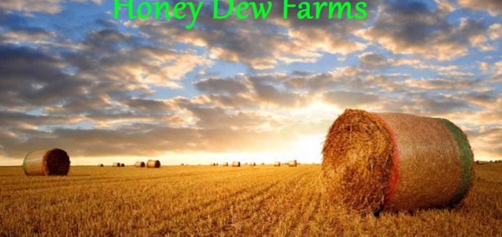 Мод карта Honey Dew Farms v1.0.0.0 Farming Simulator 2019