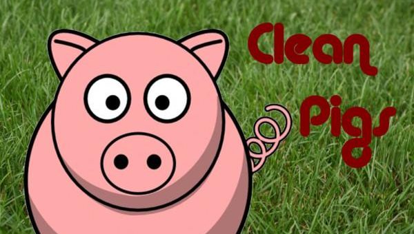 Мод свинарник SCHWEINESTALLE CLEANMAX V1.3 Farming Simulator 19