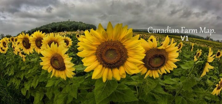 Мод карта CANADIAN FARM MAP V1.0 Farming Simulator 19