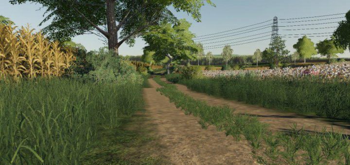 Мод карта STAROWIES MAP V1.0 Farming Simulator 2019