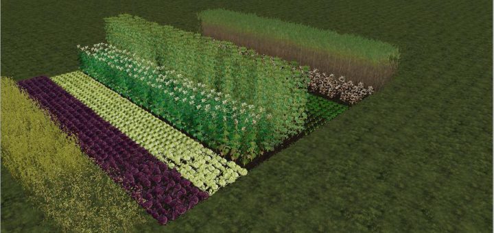 Мод карта TEMPLATE MAP FRUIT V1.0 Farming Simulator 19