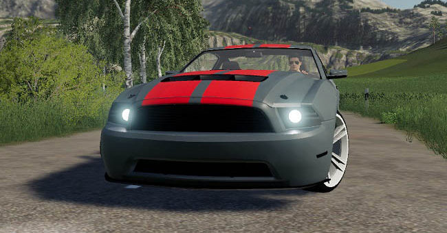 Мод авто Lizard Road Rage v1.0.0.0 Farming Simulator 2019
