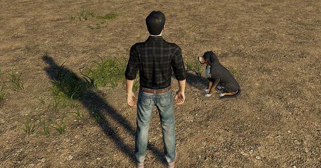 Мод скрипт 3rd Person v1.0.0.1 Farming Simulator 19