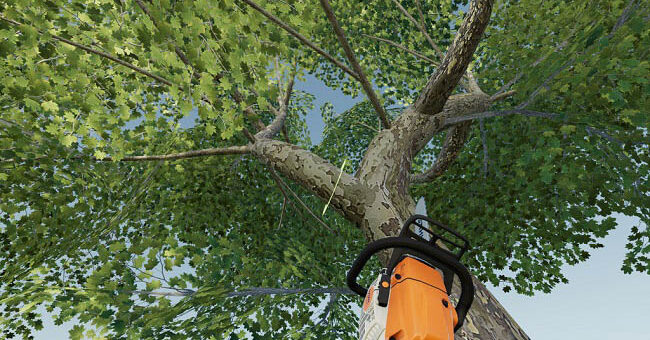 Мод скрипт LumberJack v1.0.0.0 Farming Simulator 2019