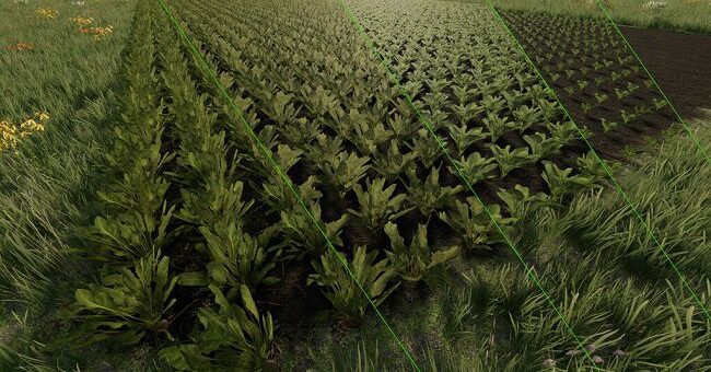 Мод скрипт Grow Now v1.0.5.1 Farming Simulator 2022